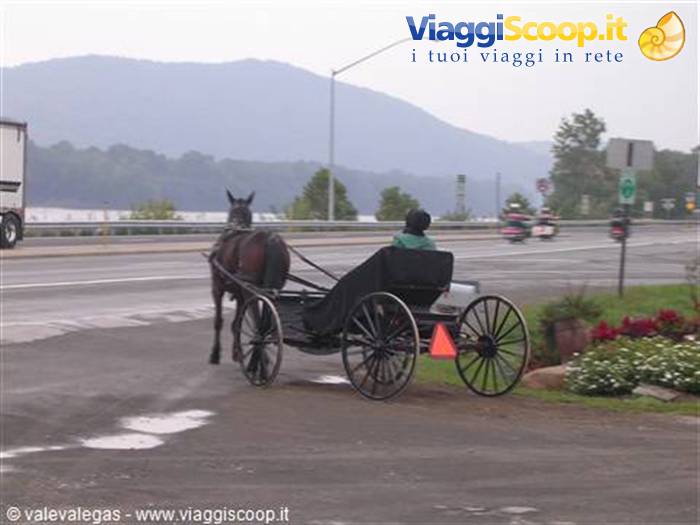 Foto di viaggio in STATI UNITI D'AMERICA
