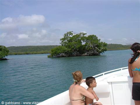 morrocoy