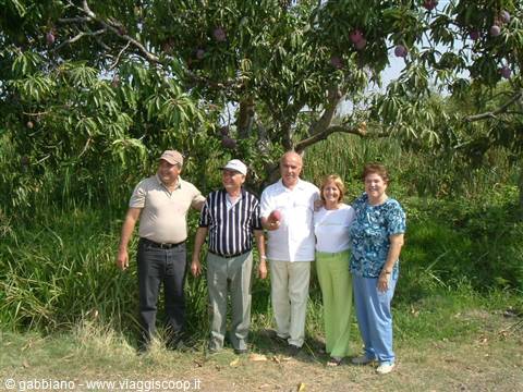la finca (il podere)