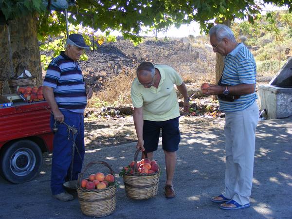 compravendita di pesche a moio alcantara