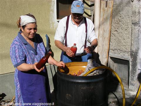 conserva pomodoro (malvagna-me)