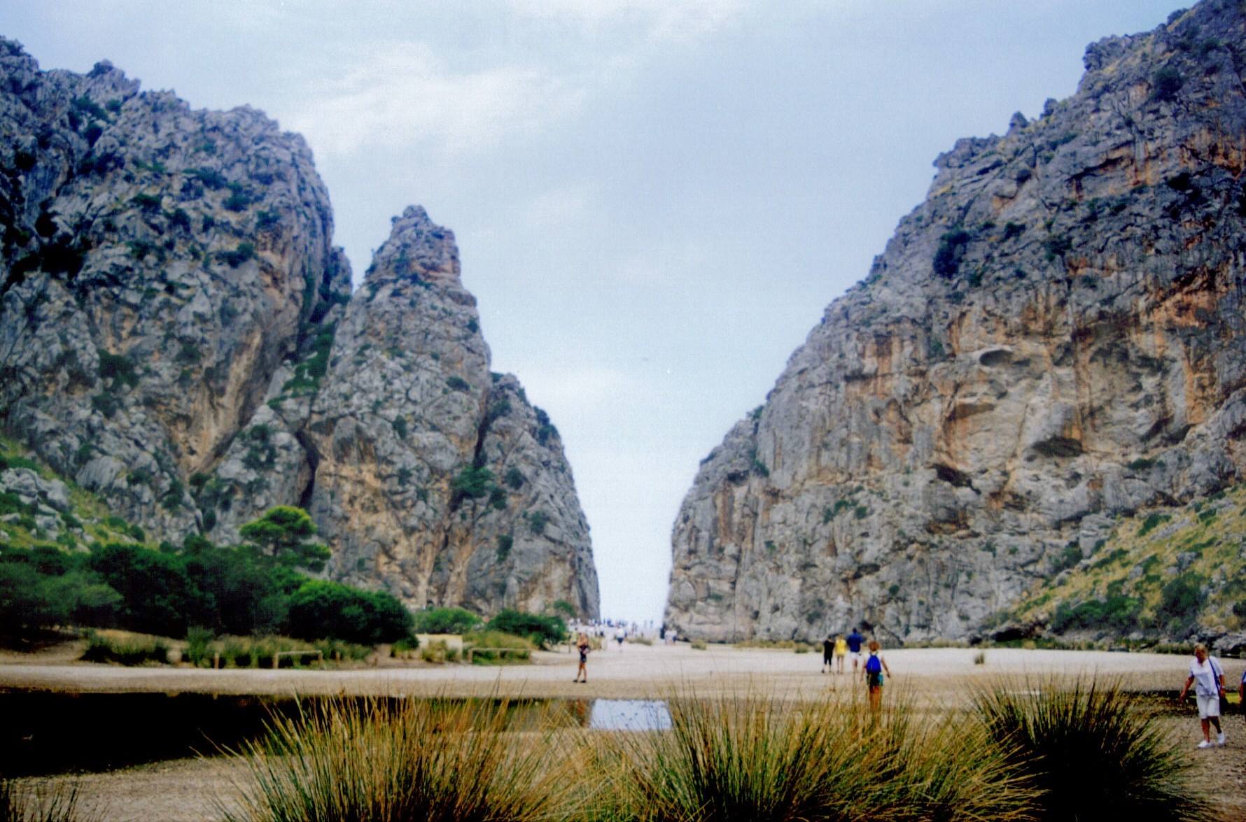 TORRENT PAREIS