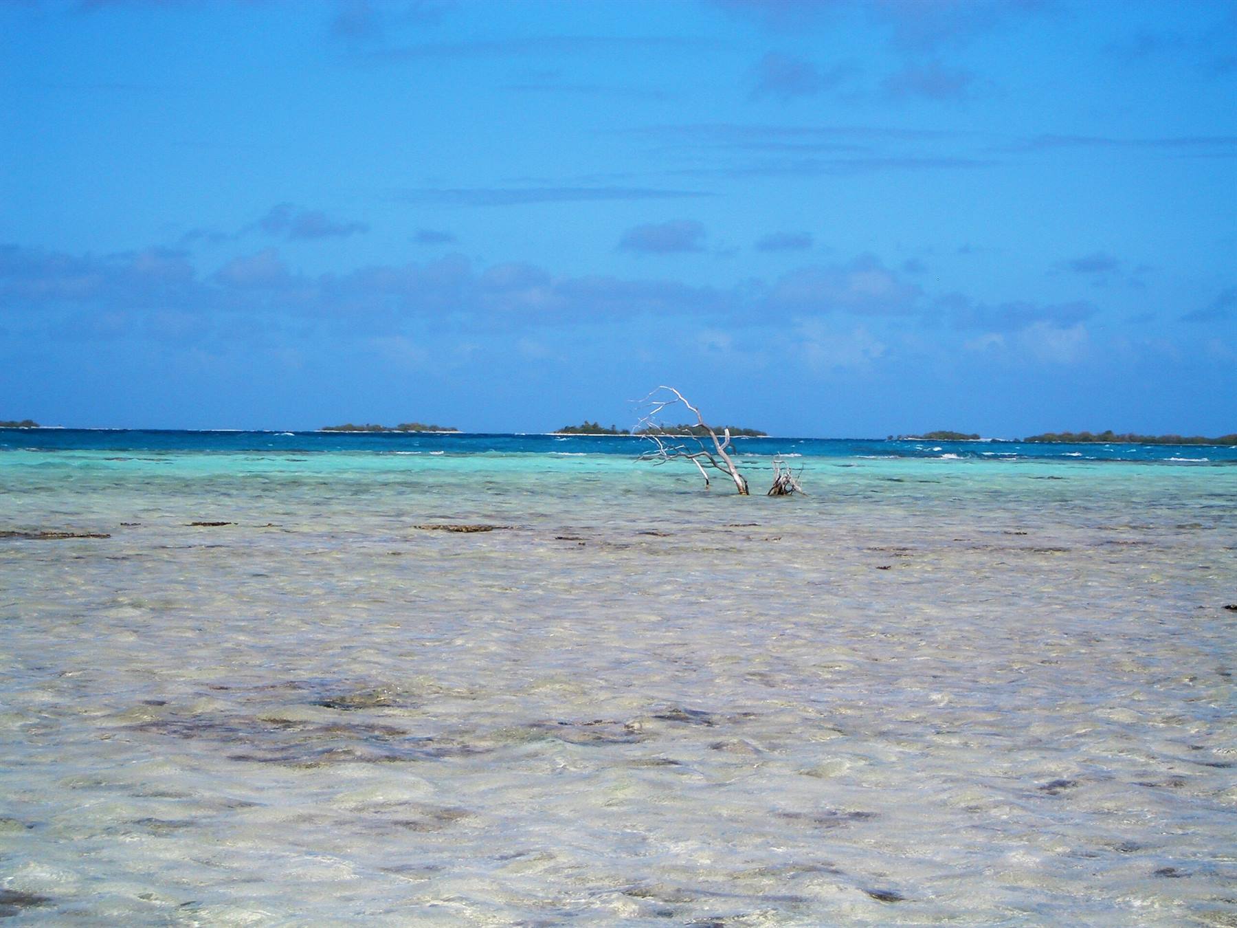 LAGUNA BLU