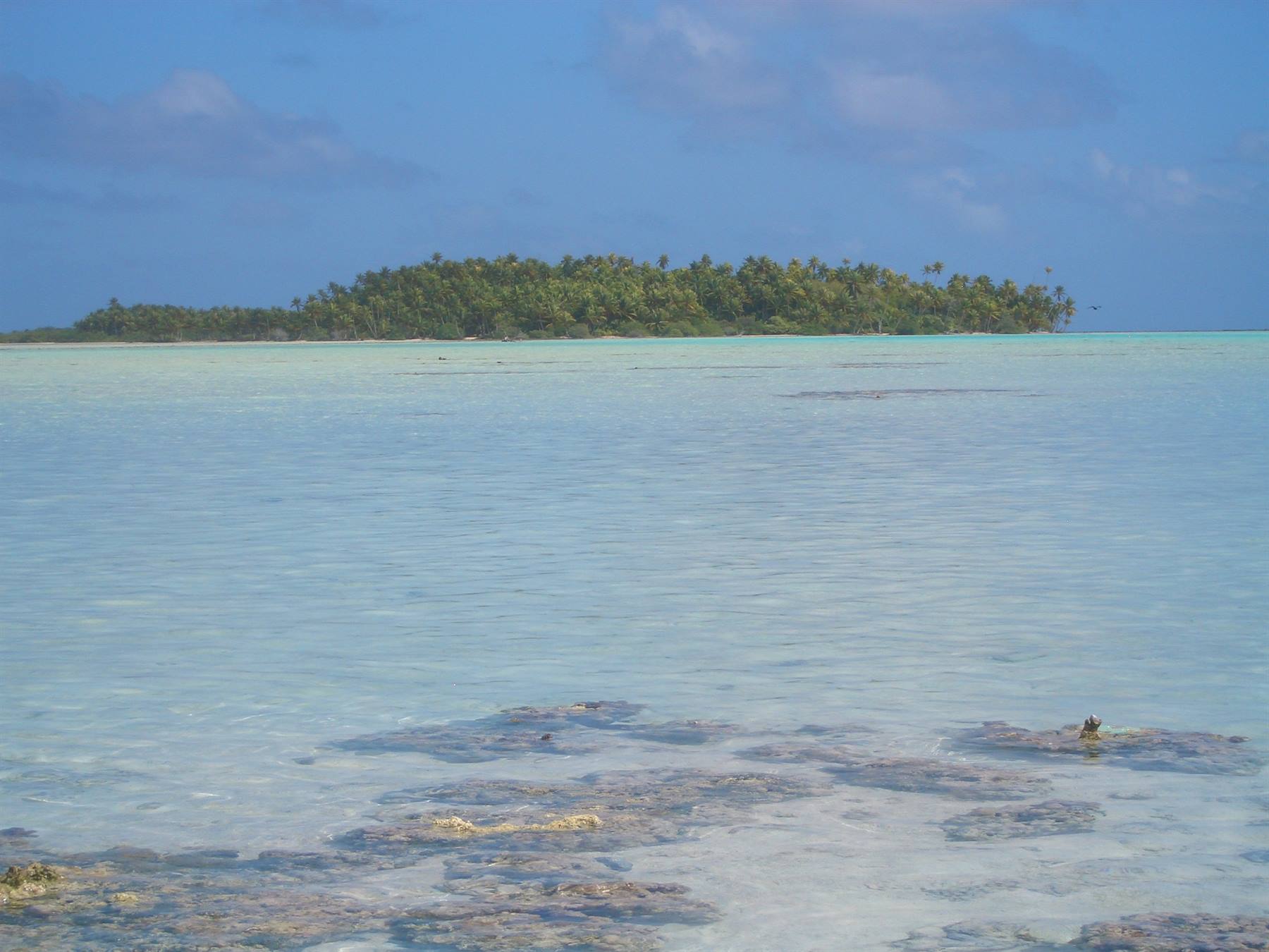 LAGUNA BLU