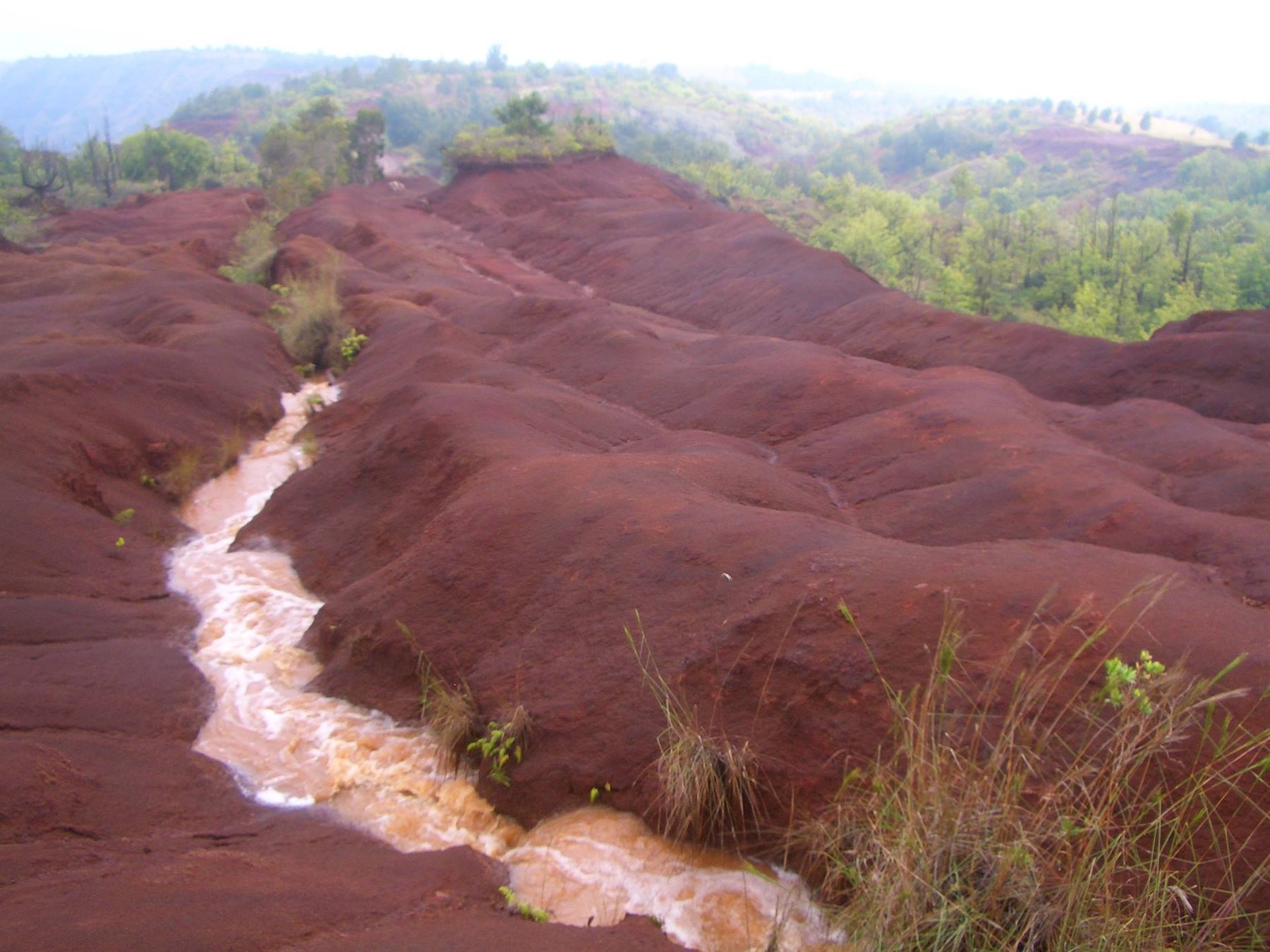 WAIMEA CANYON - KAUAI