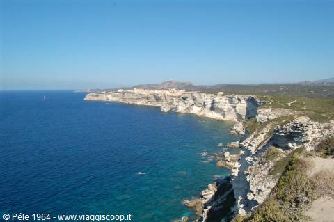 Bonifacio