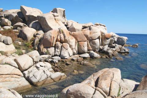 isola di Lavezzi