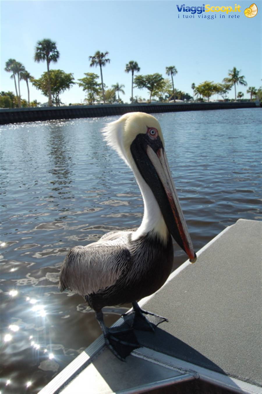 Everglades Park
