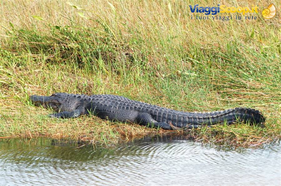 Everglades Park