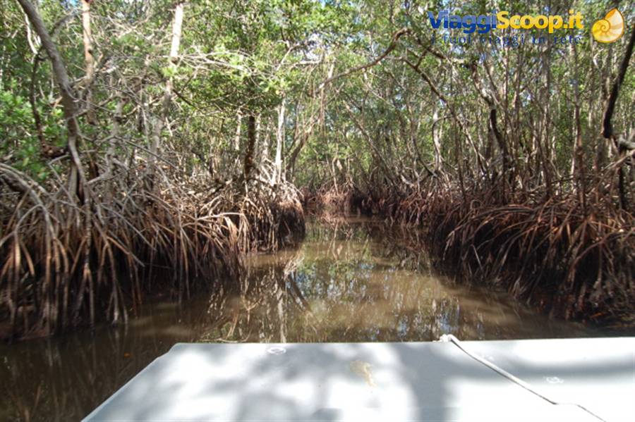 Everglades Park