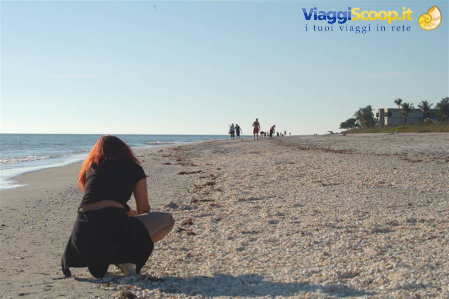 Sanibel - la spiaggia delle conchiglie