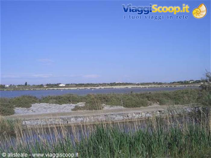 Adieu Camargue! (nello stagno i fenicotteri rosa sono lontanissimi...)