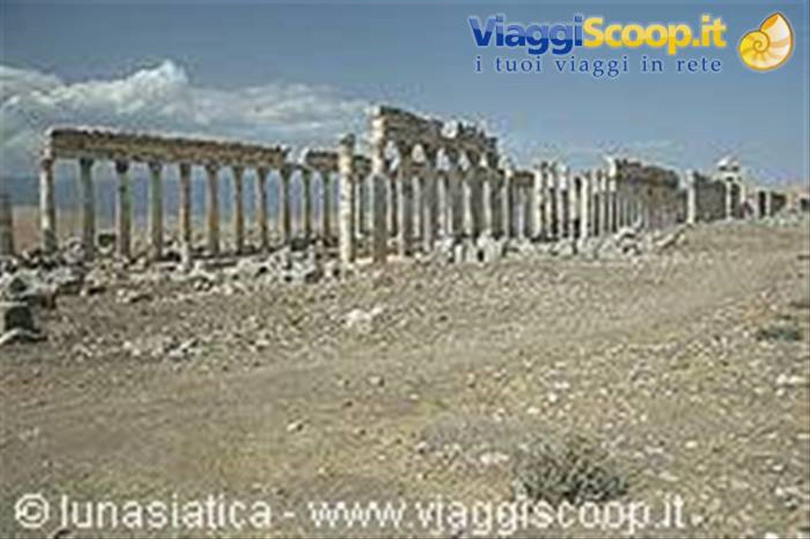 apamea