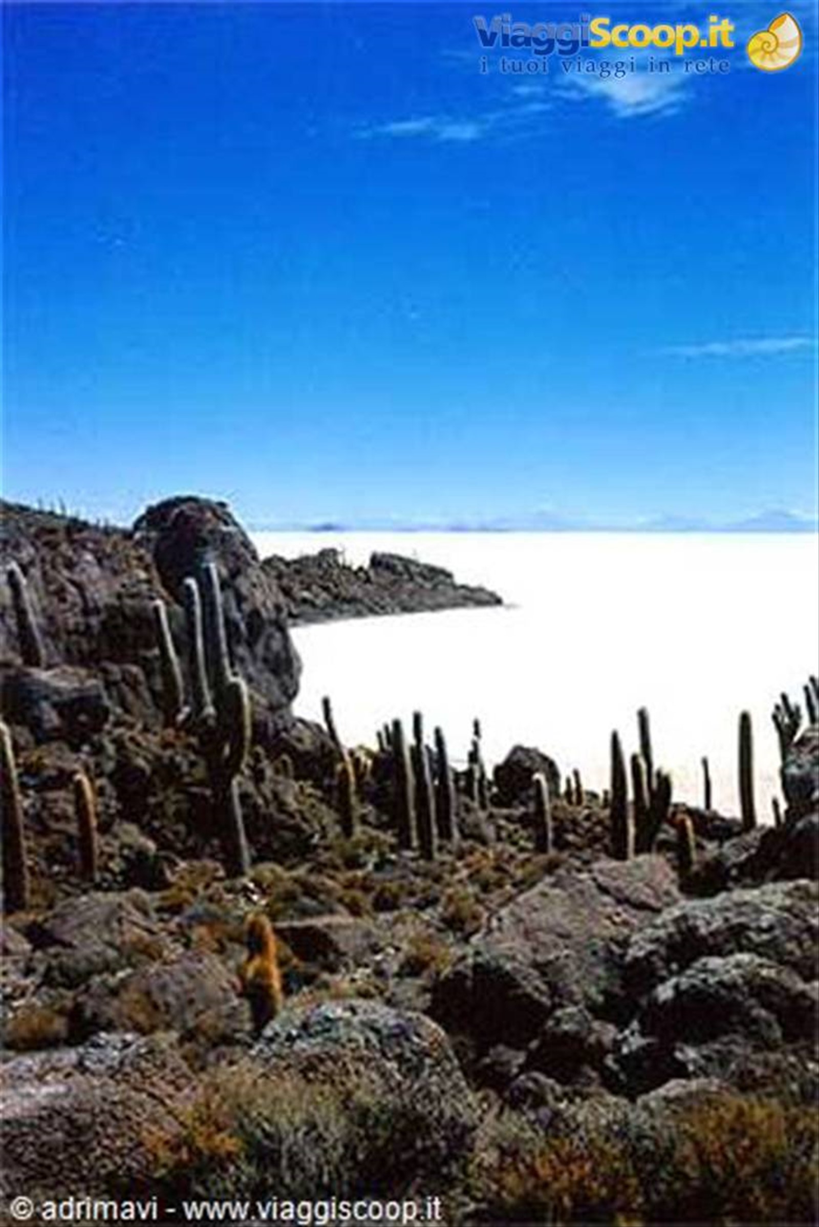 isla del pescado - salar de Uyuni