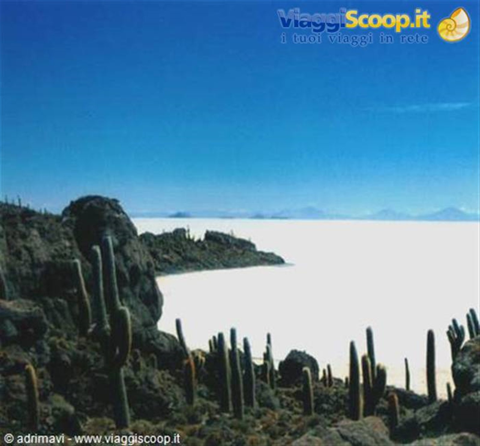 isla del pescado - salar de Uyuni