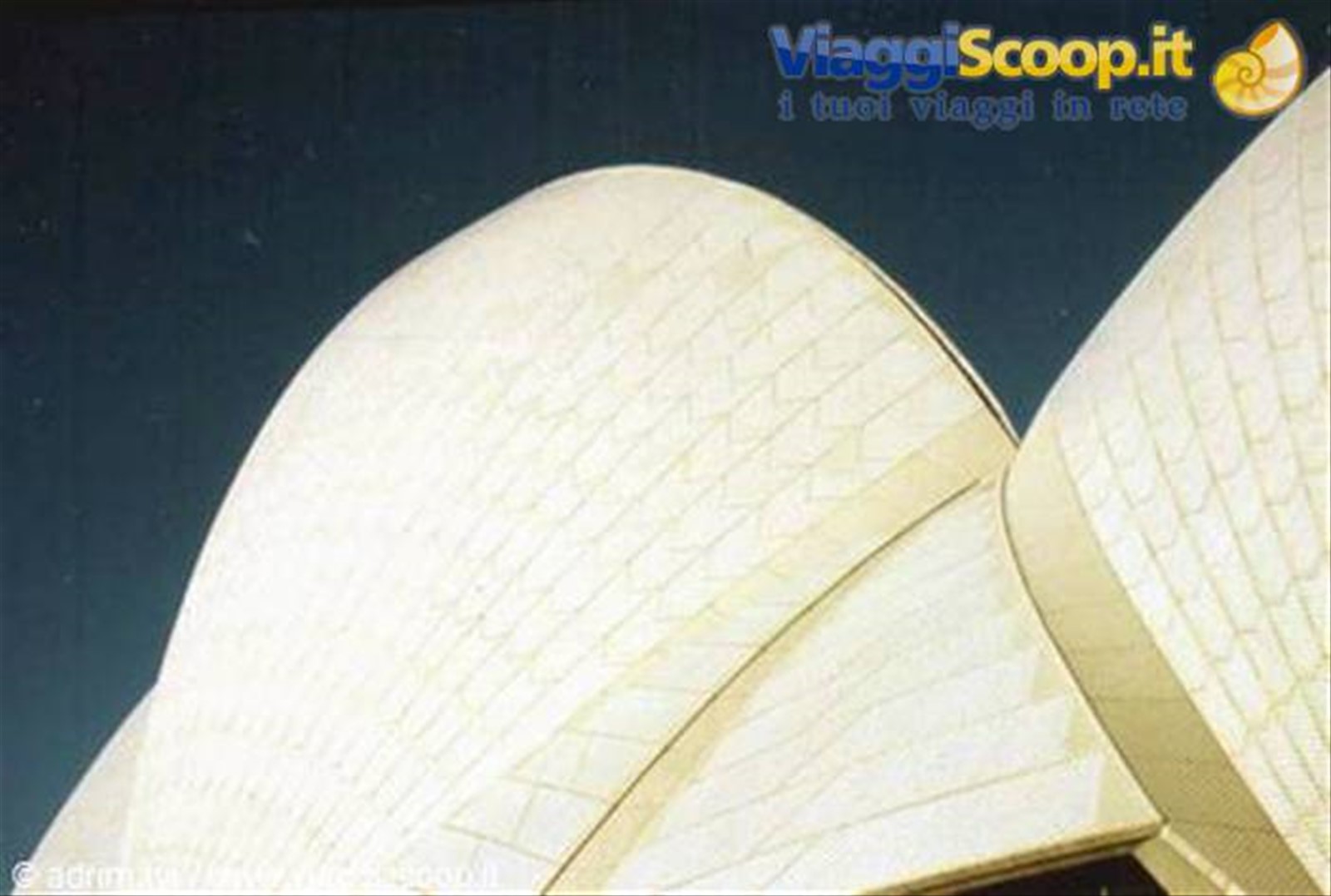 Sydney - Opera House - particolare