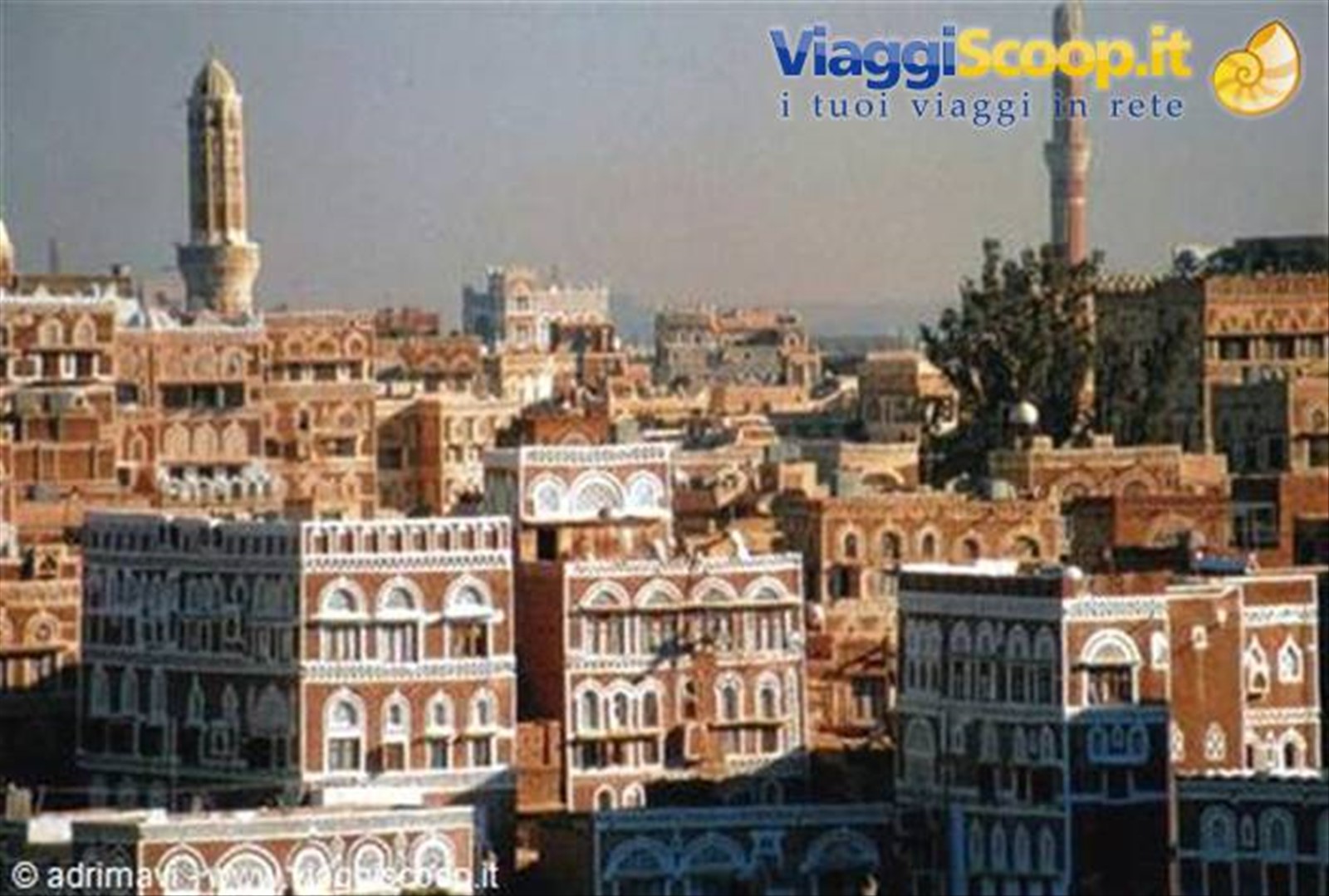Old Sana'a all'alba