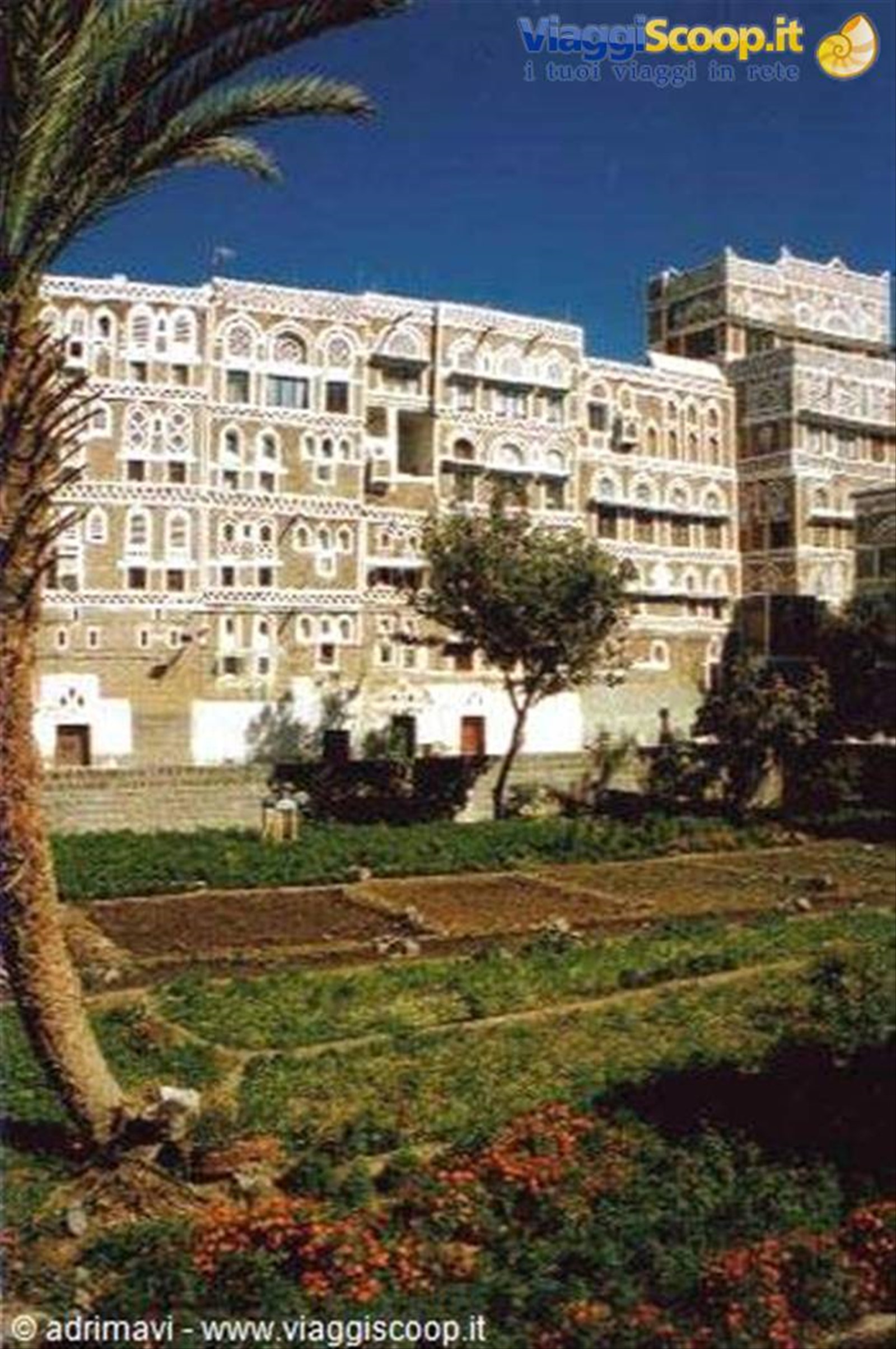 giardino in Old sana'a