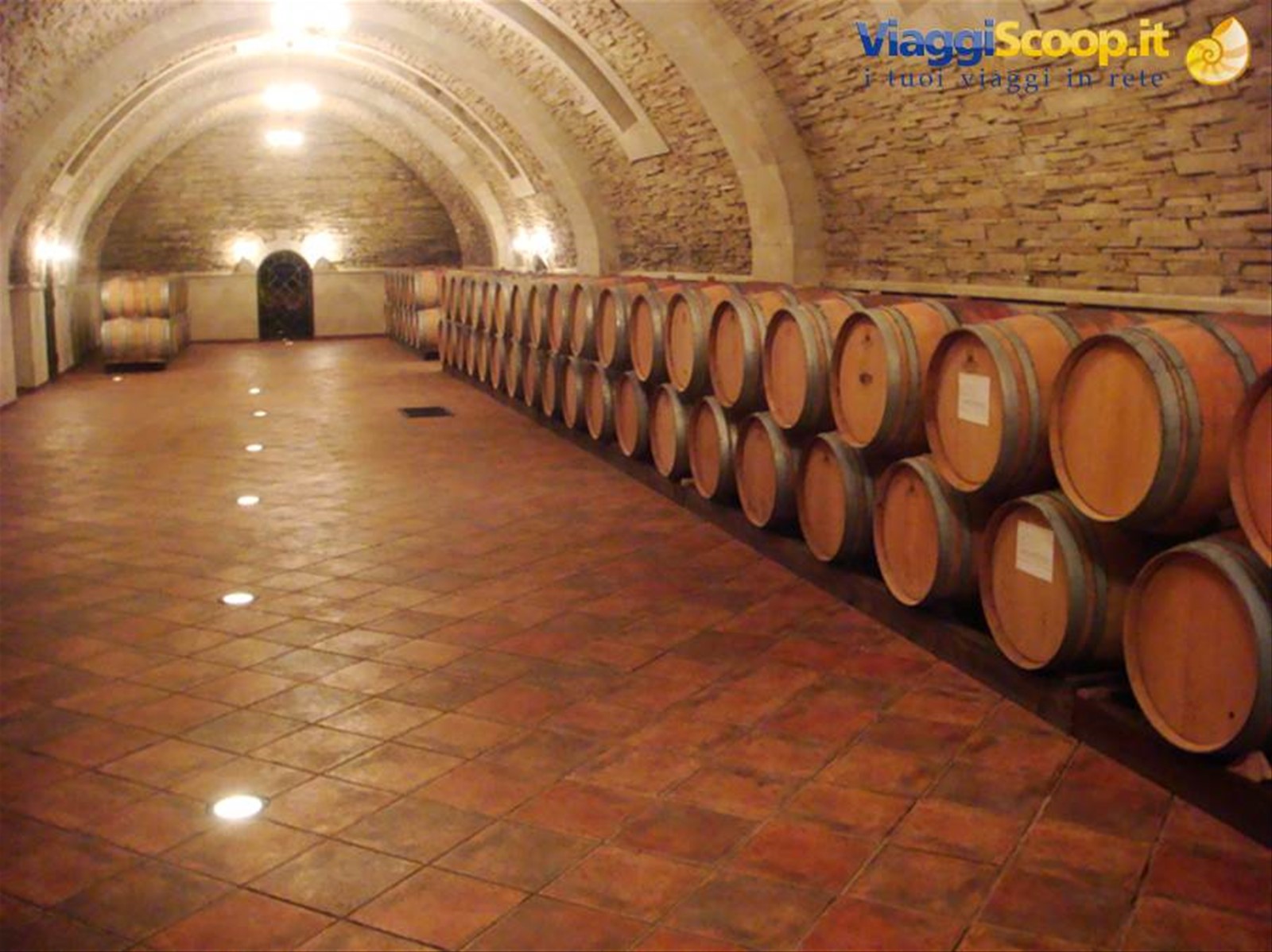 Cantine di Purcari 3