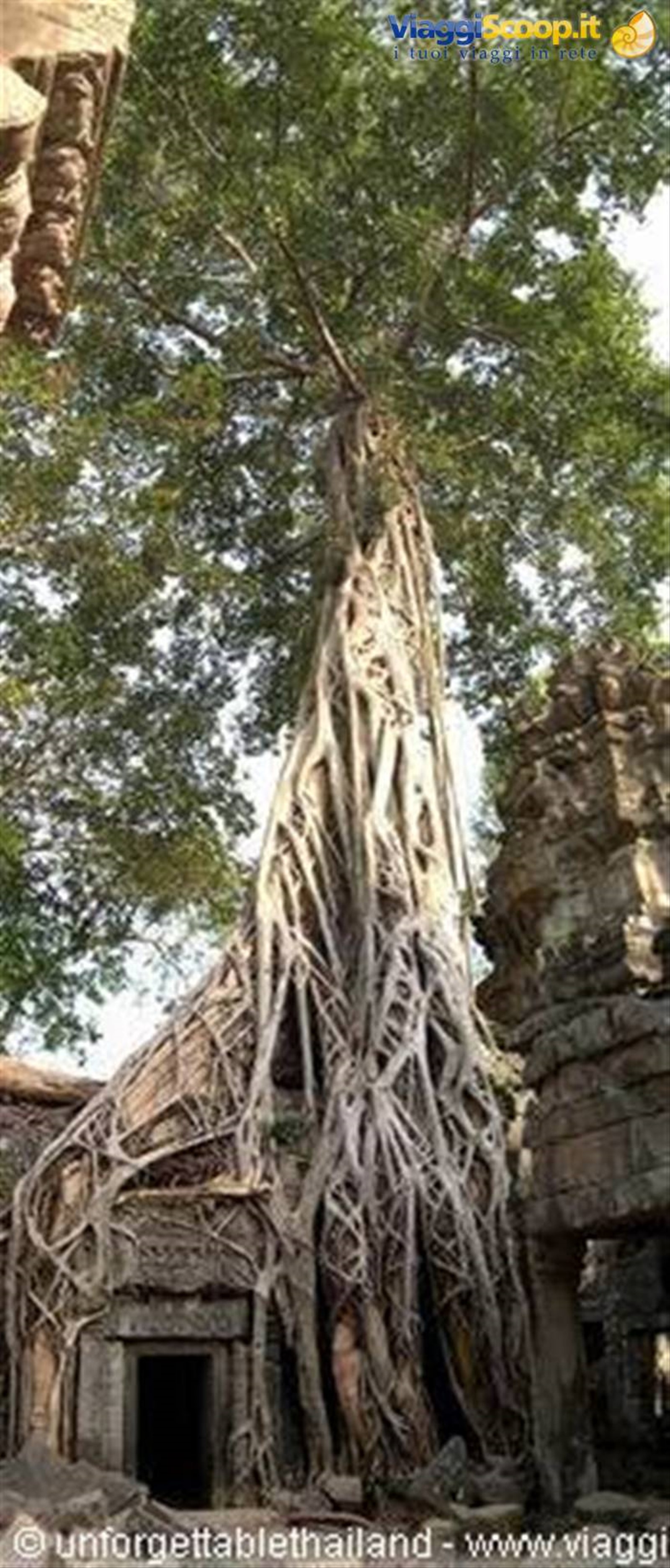 Ta Prohm Wat