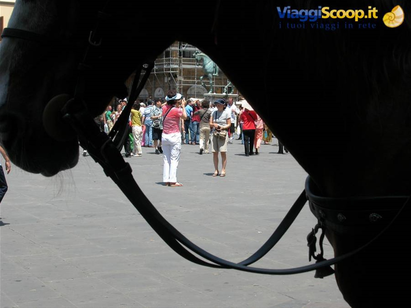 Firenze a cavallo