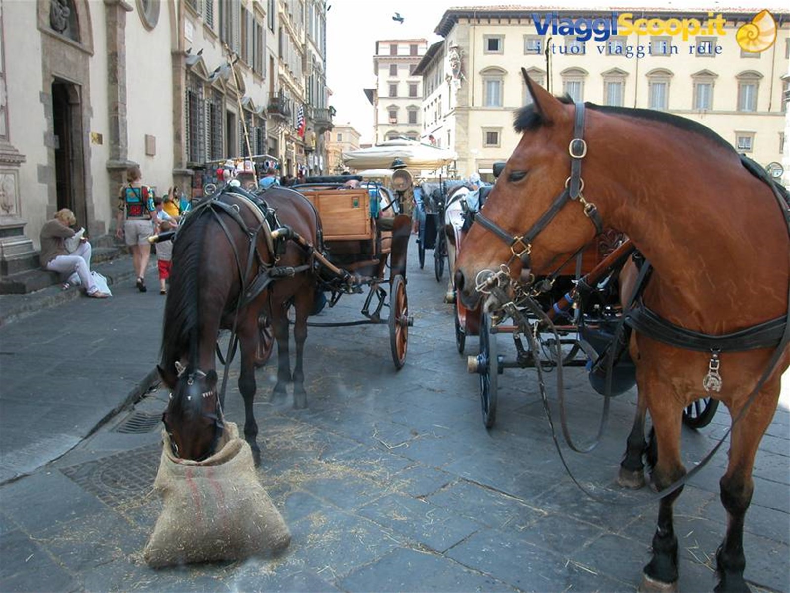 Foto di viaggio in ITALIA