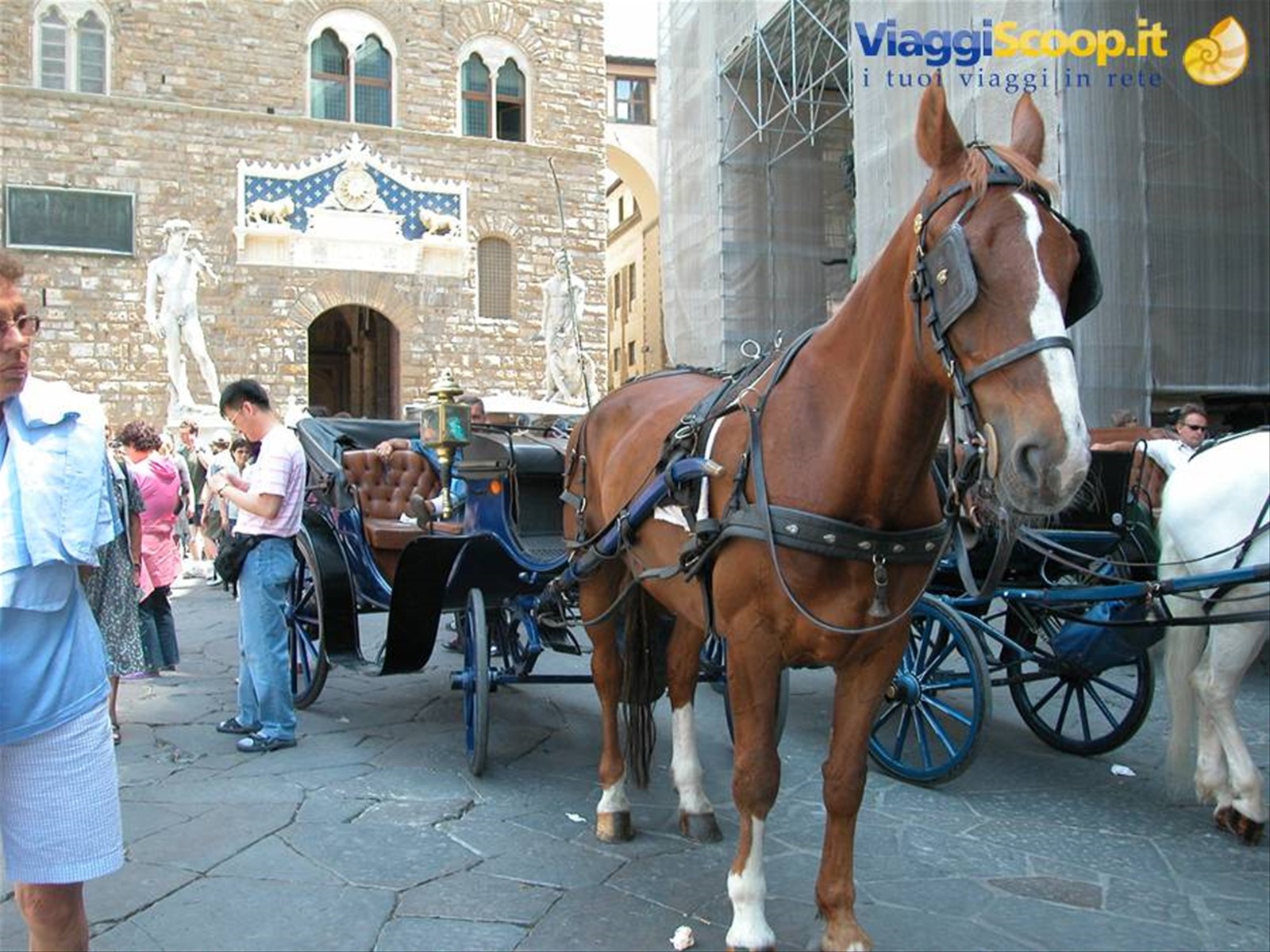 Foto di viaggio in ITALIA
