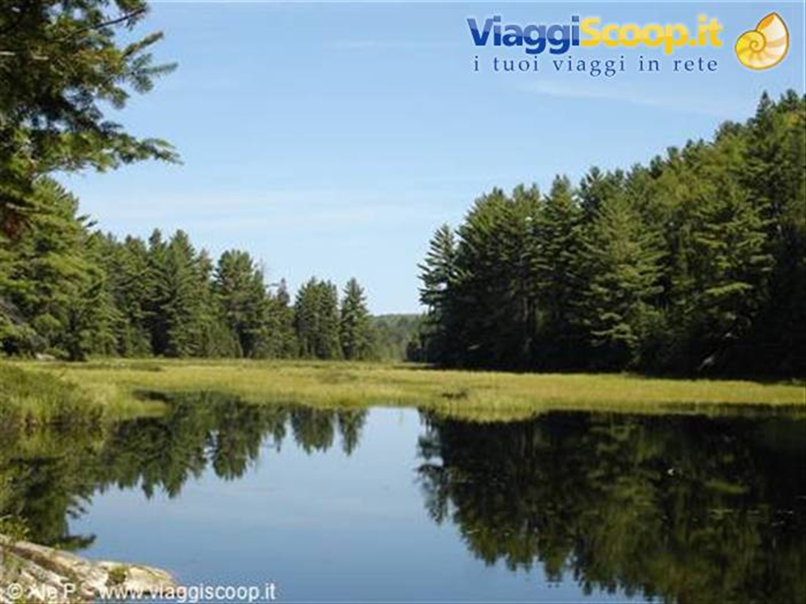 Algonquin Park