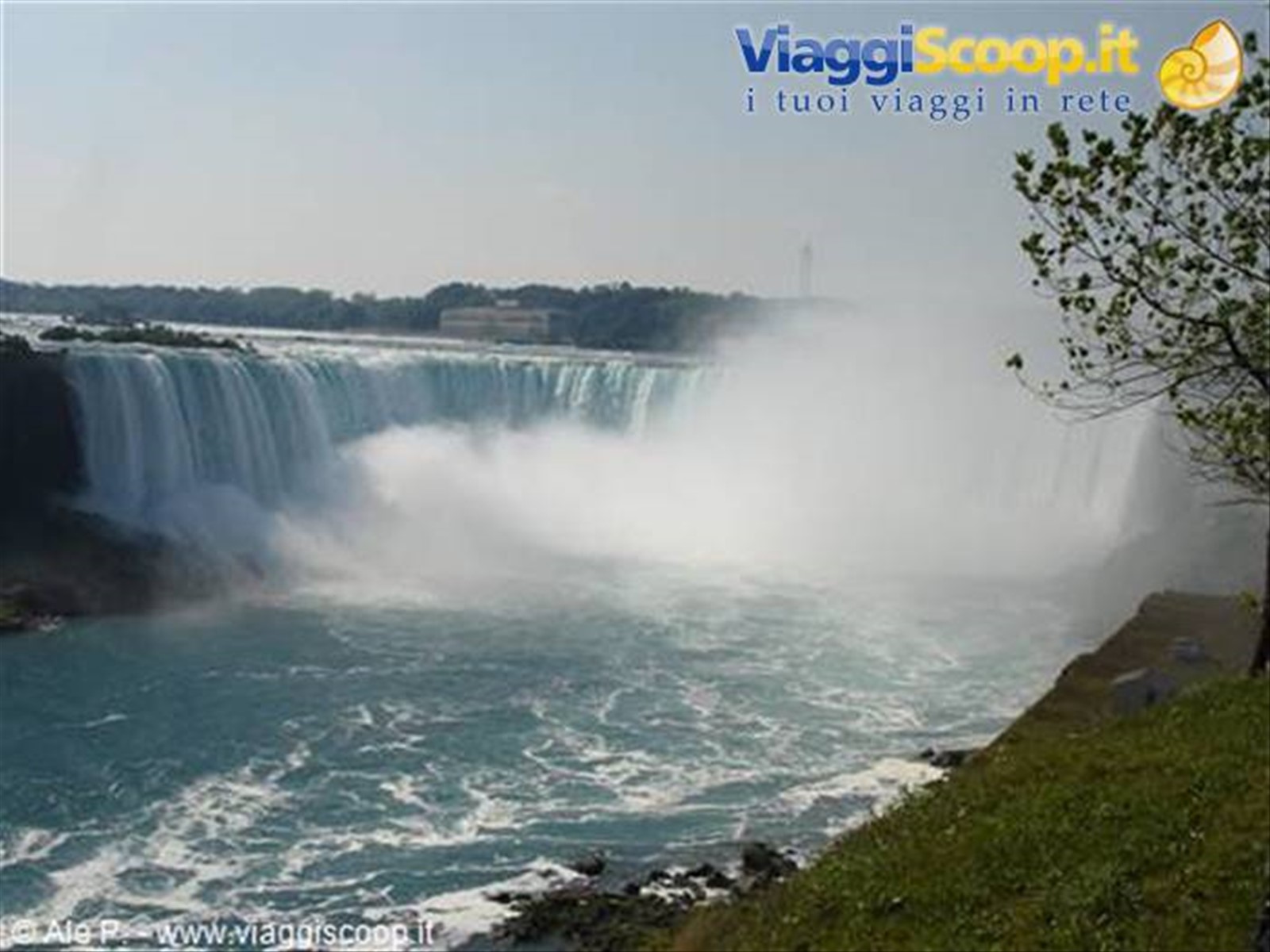 Niagara