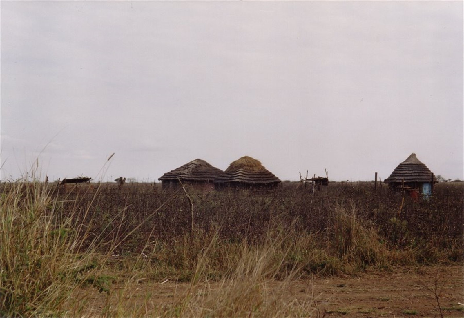Abitazioni swazi