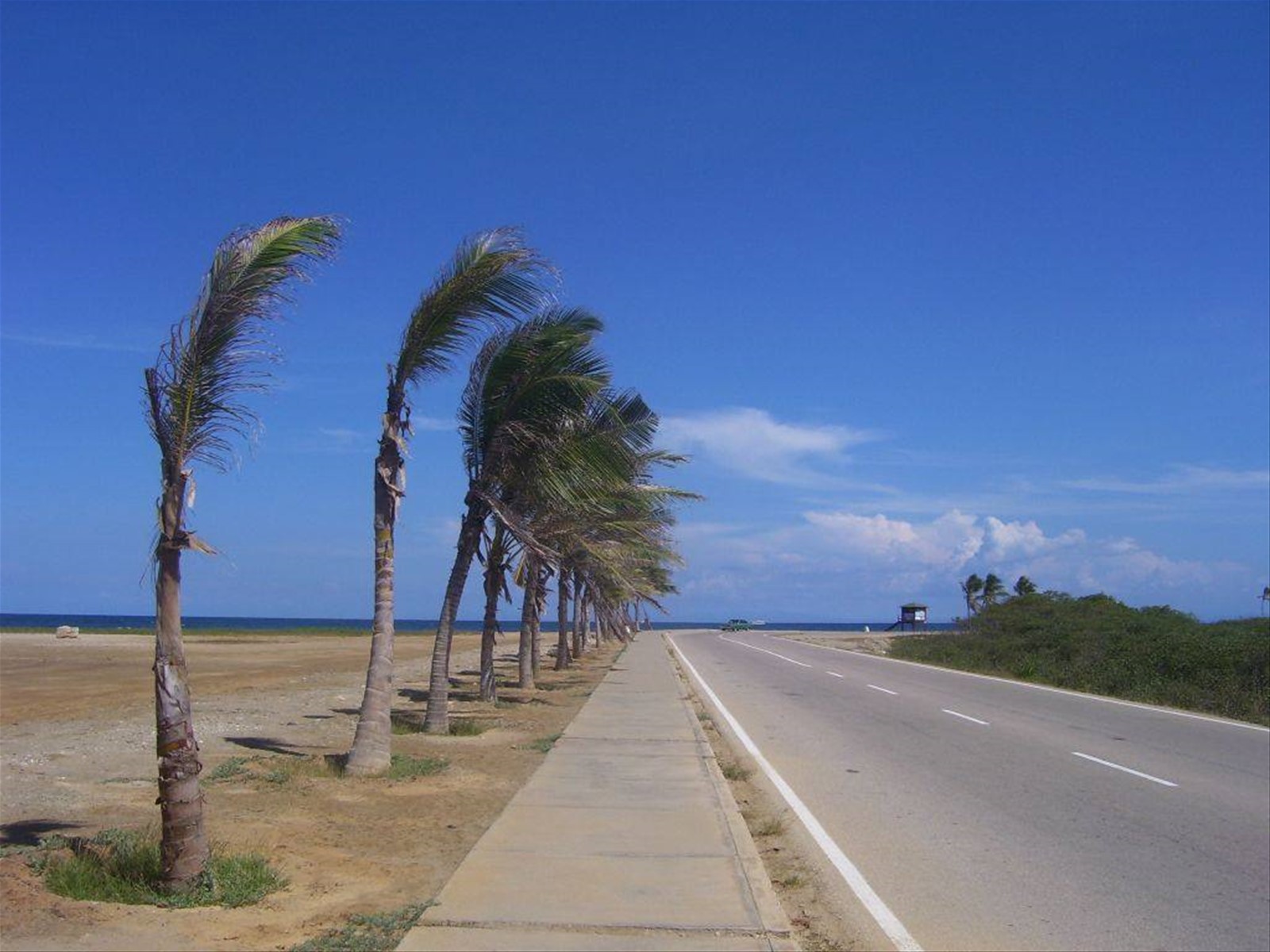 Foto di viaggio in VENEZUELA