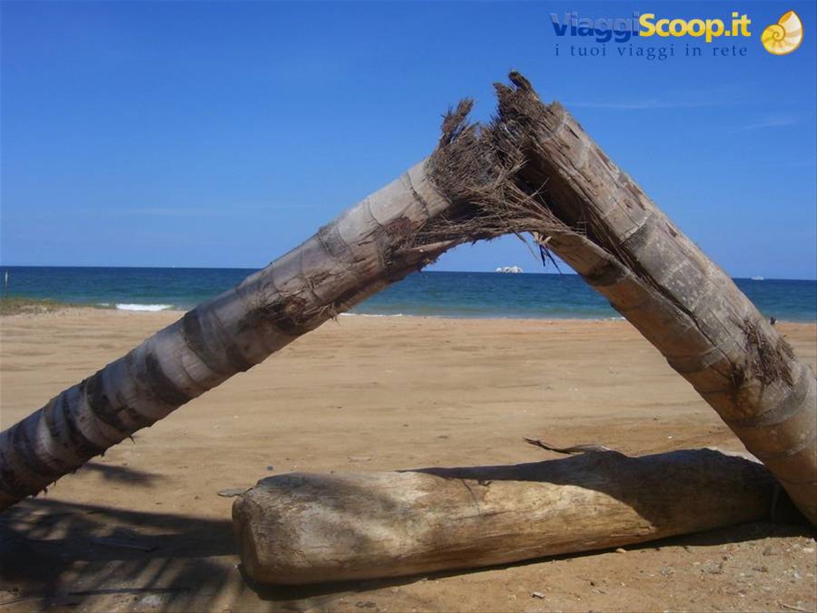 Foto di viaggio in VENEZUELA