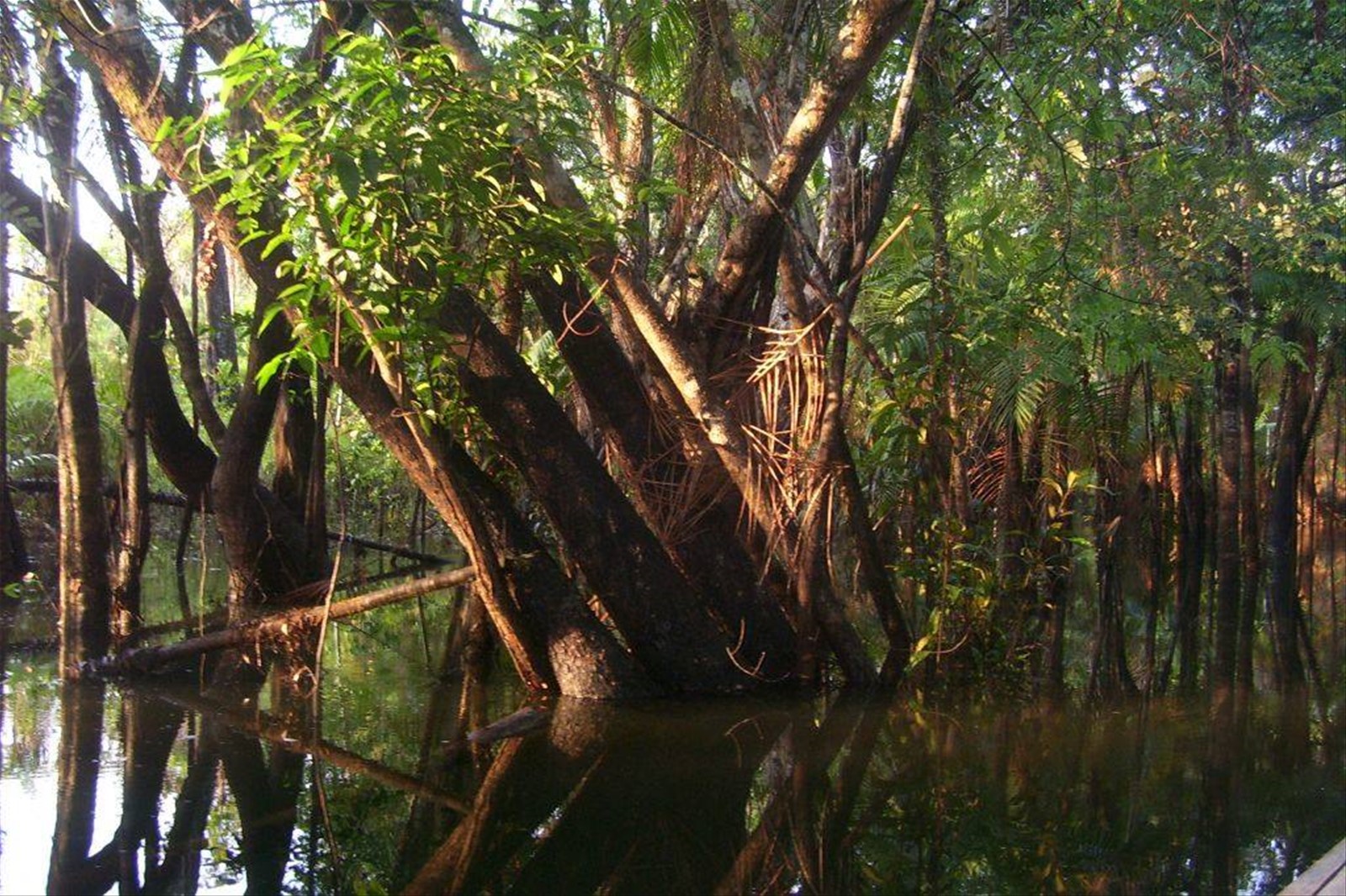 Foto di viaggio in BRASILE