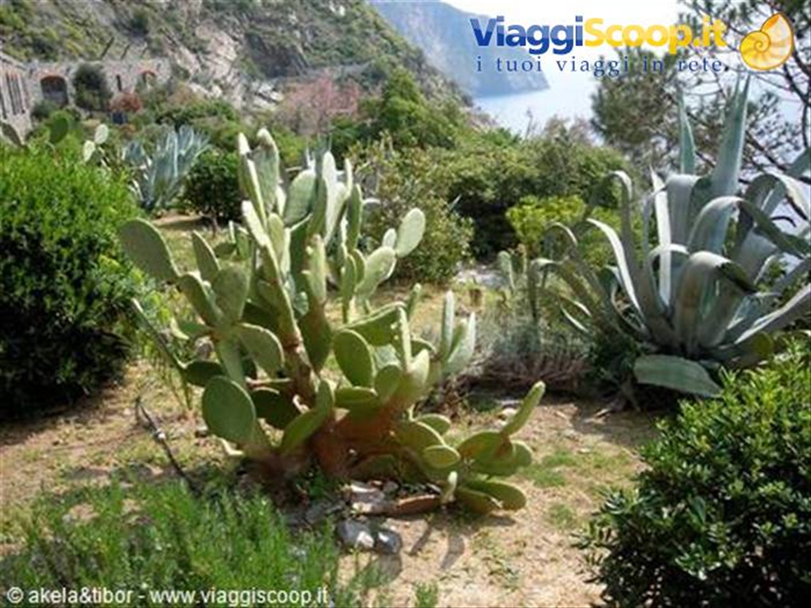 piccolo giardino lungo il sentiero