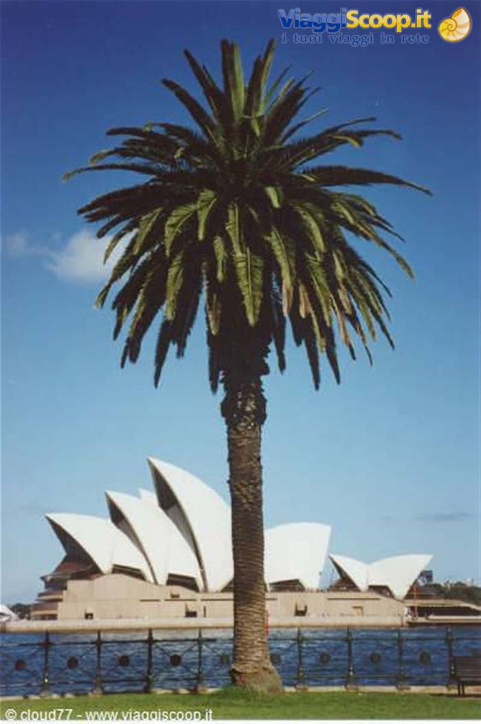 Foto di viaggio in AUSTRALIA