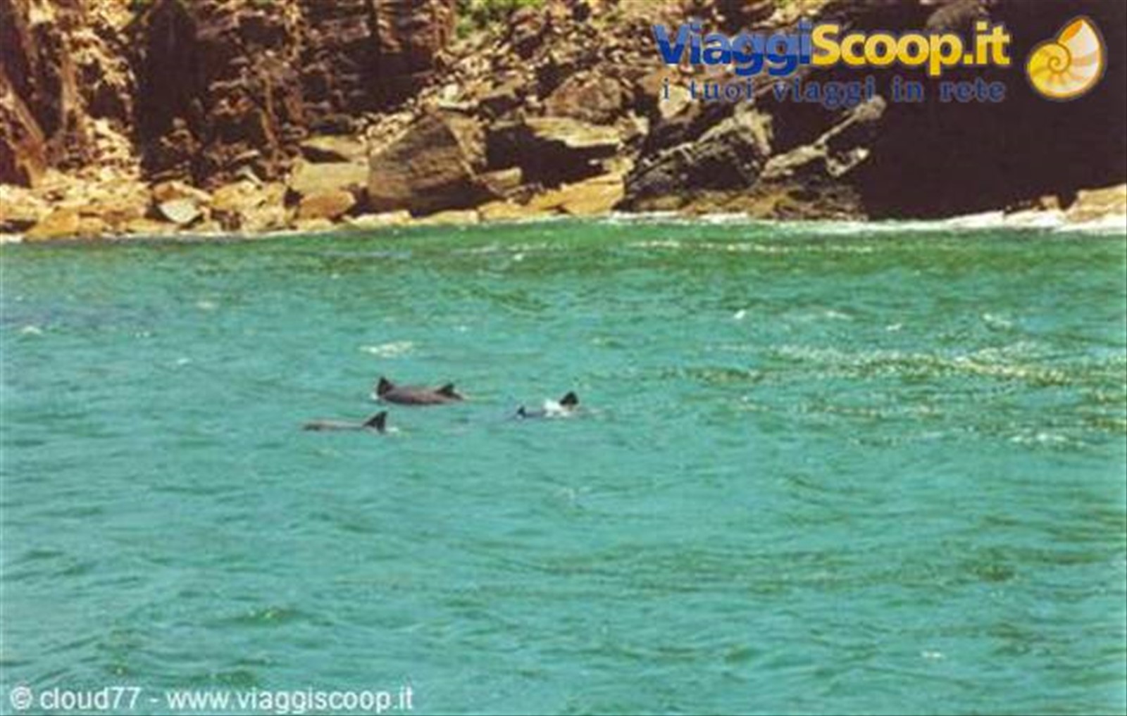 Foto di viaggio in AUSTRALIA
