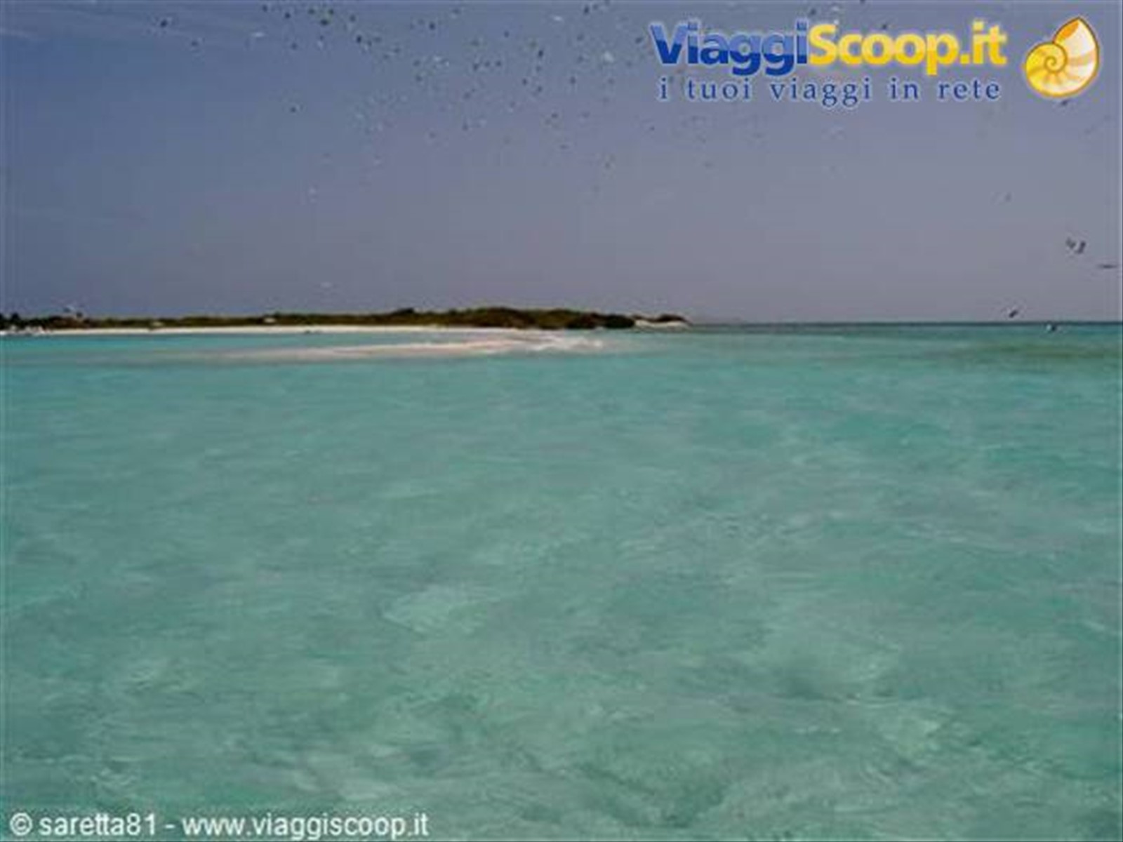 los roques... il paradiso esiste