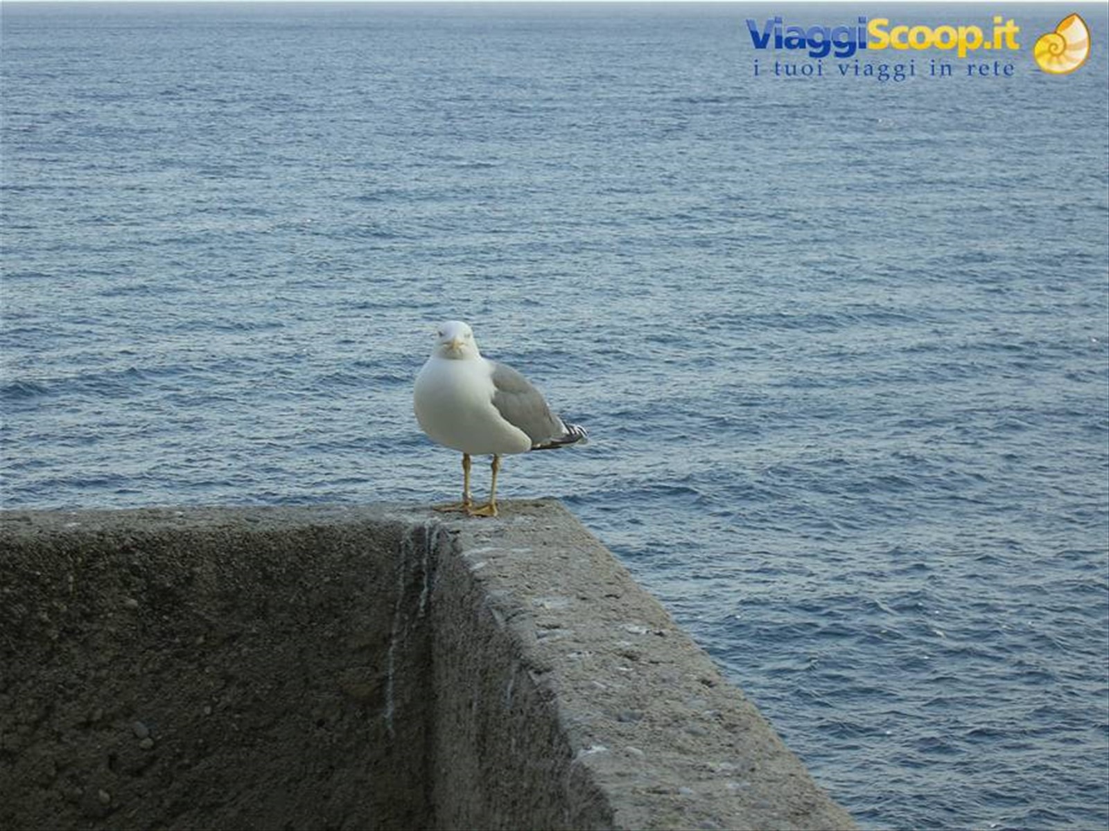 Foto di viaggio in MONACO