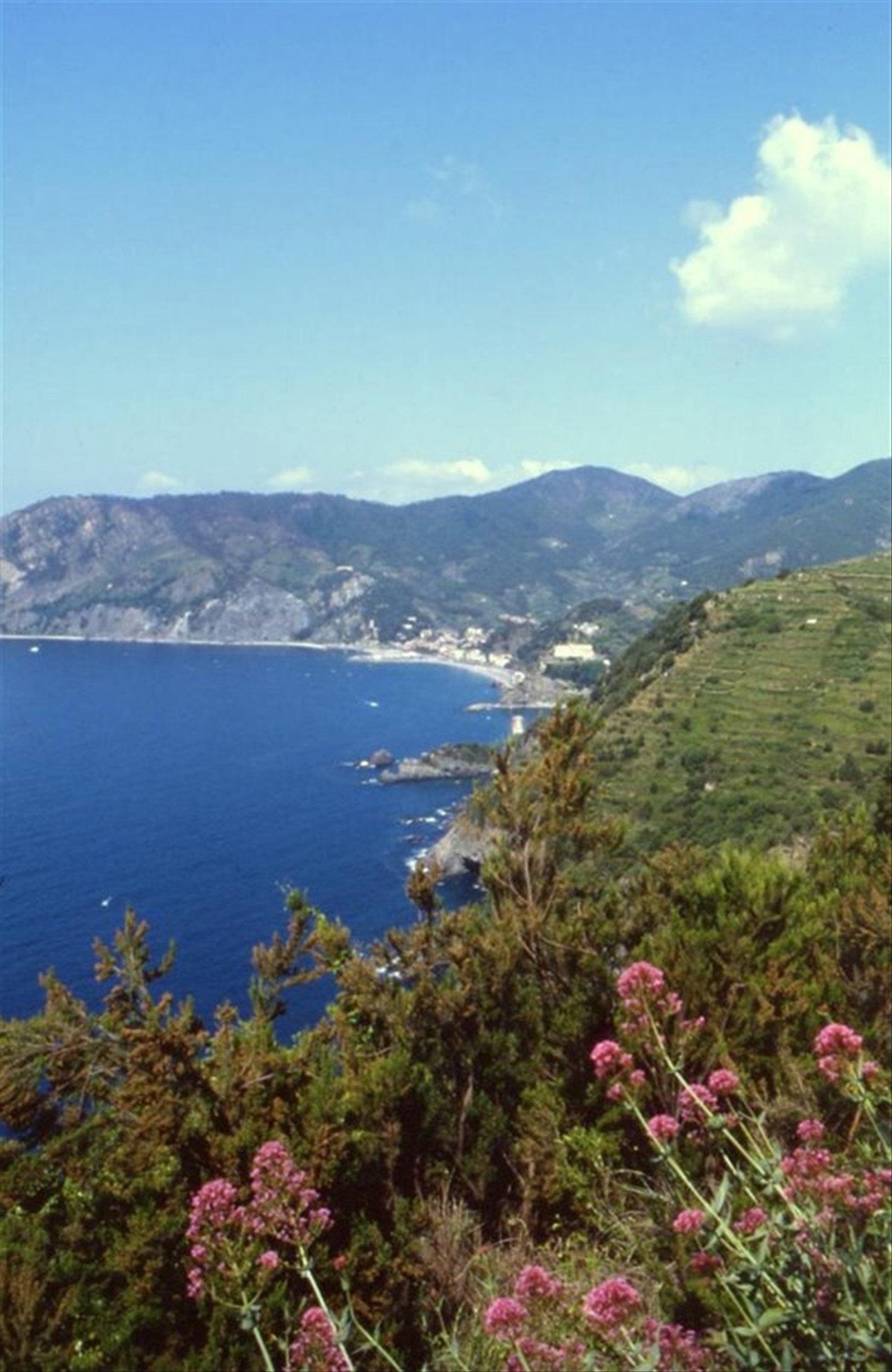 VERNAZZA