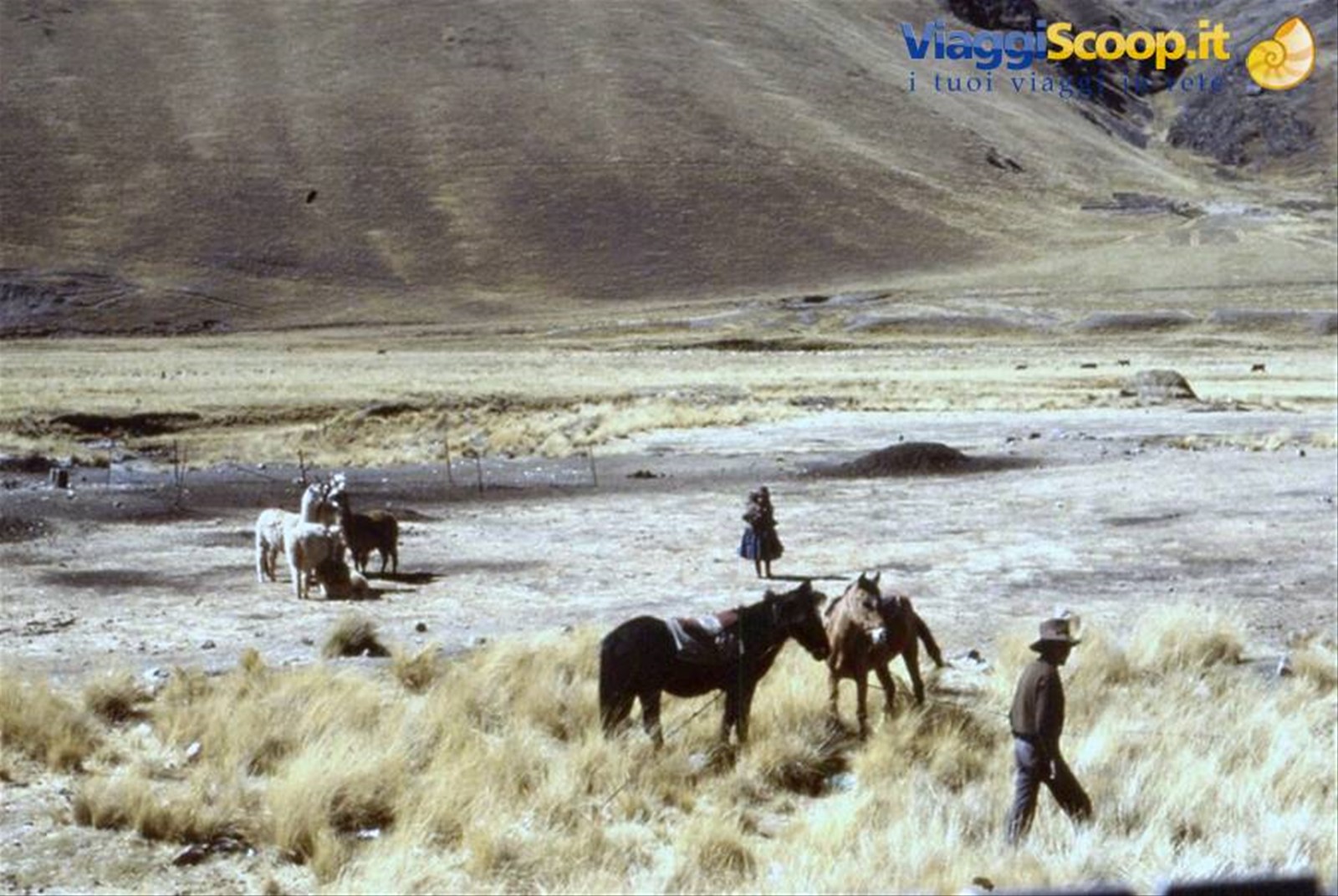 DAL TRENO VERSO CUZCO