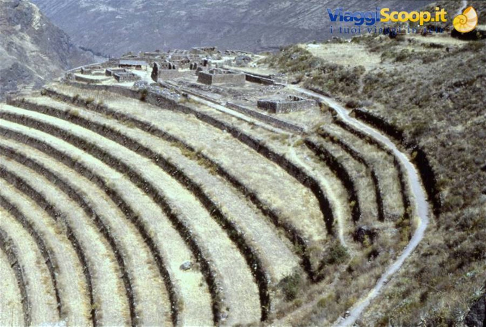 PISAC - TERRAZZAMENTI
