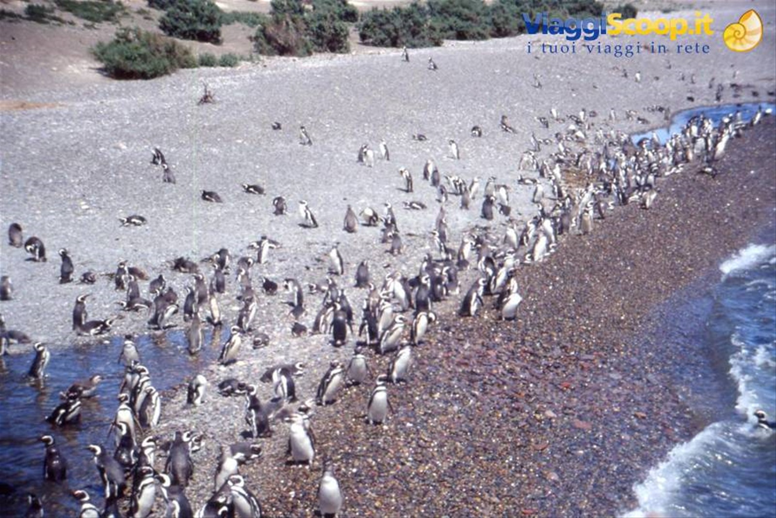 PUNTA TOMBO