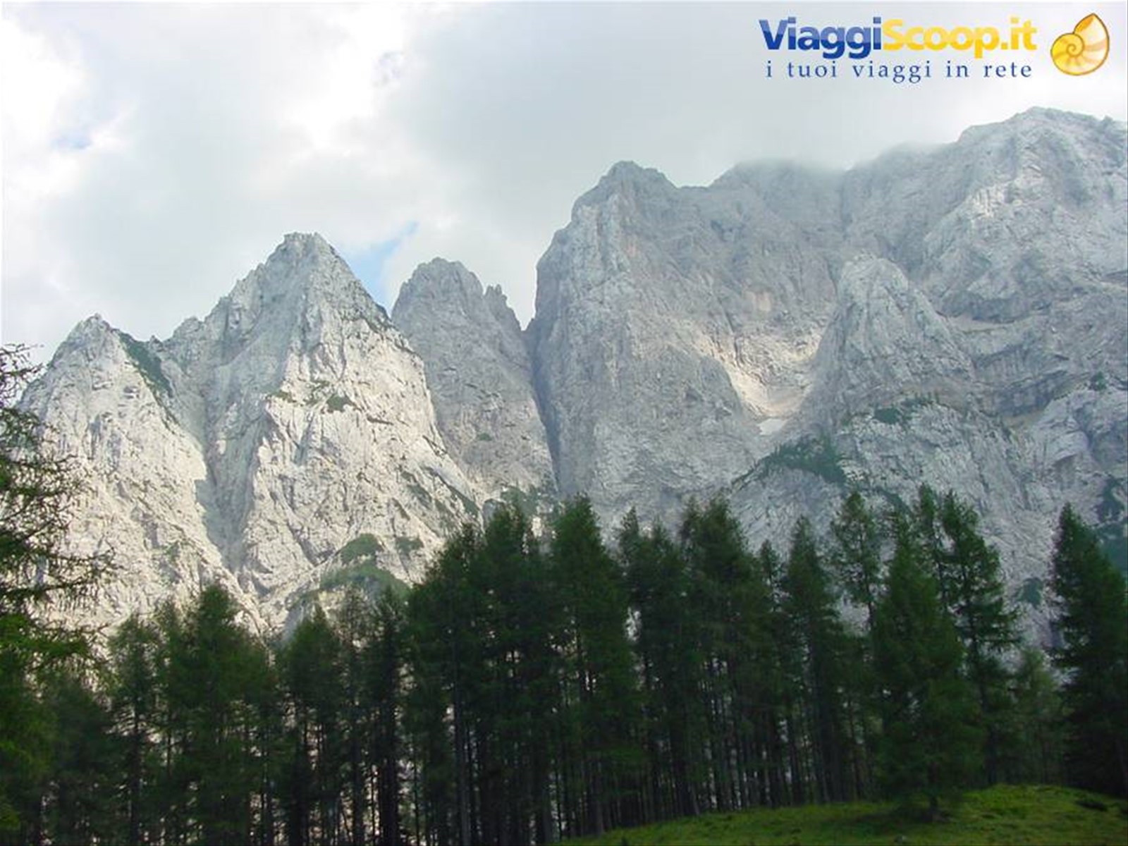 PASSO VRSIC