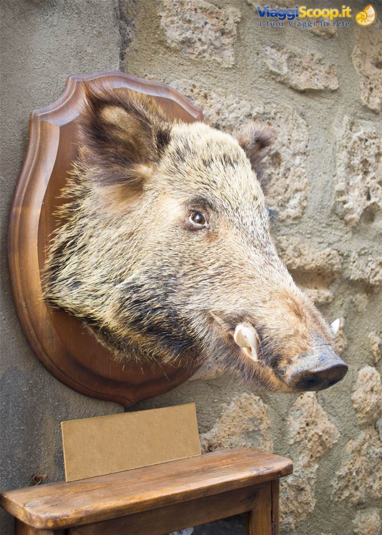 Orvieto, famosa anche per il cinghiale