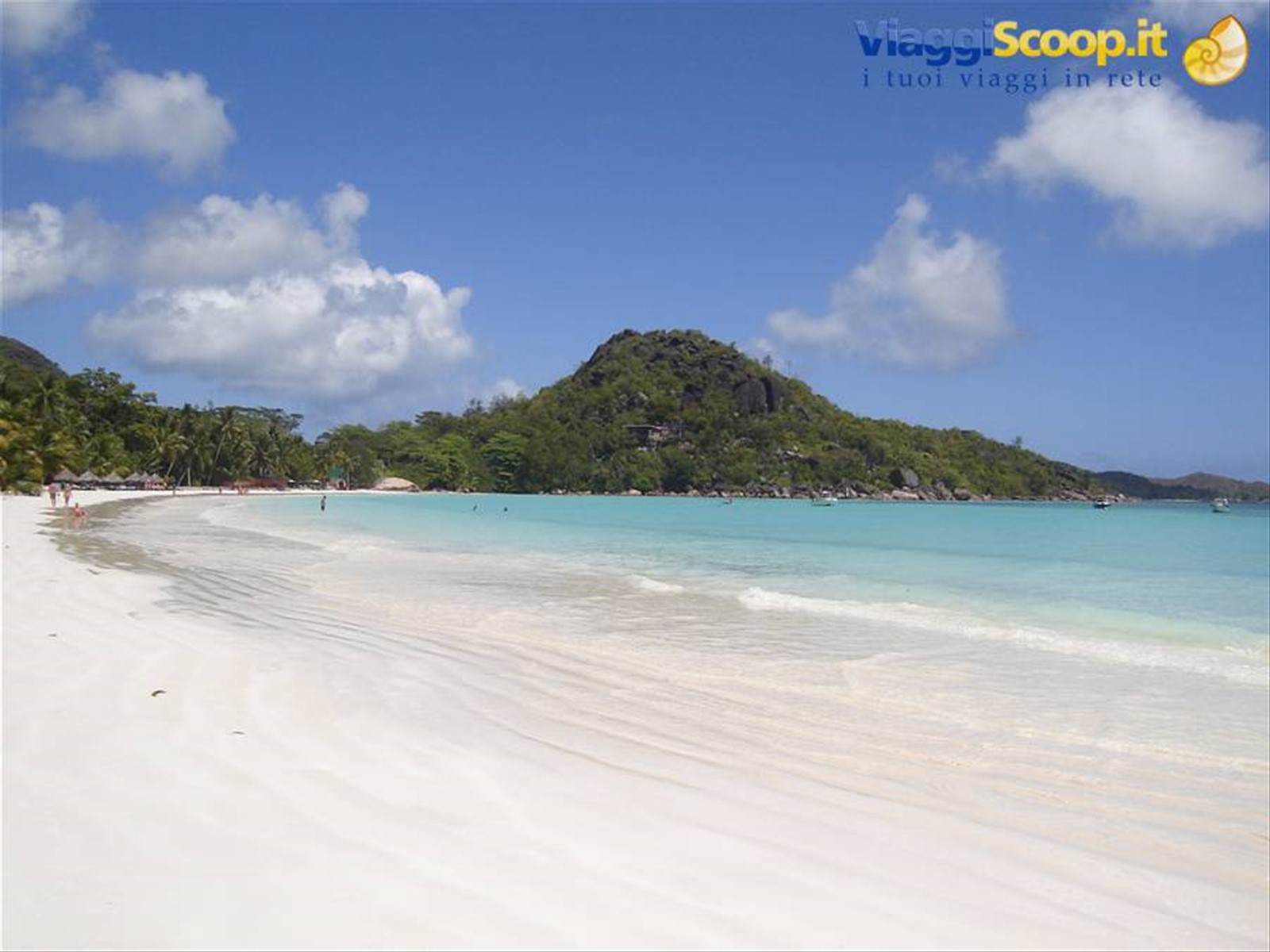 Cote d'Or