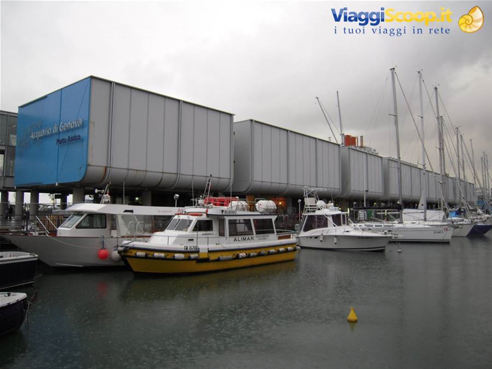 L'acquario di Genova