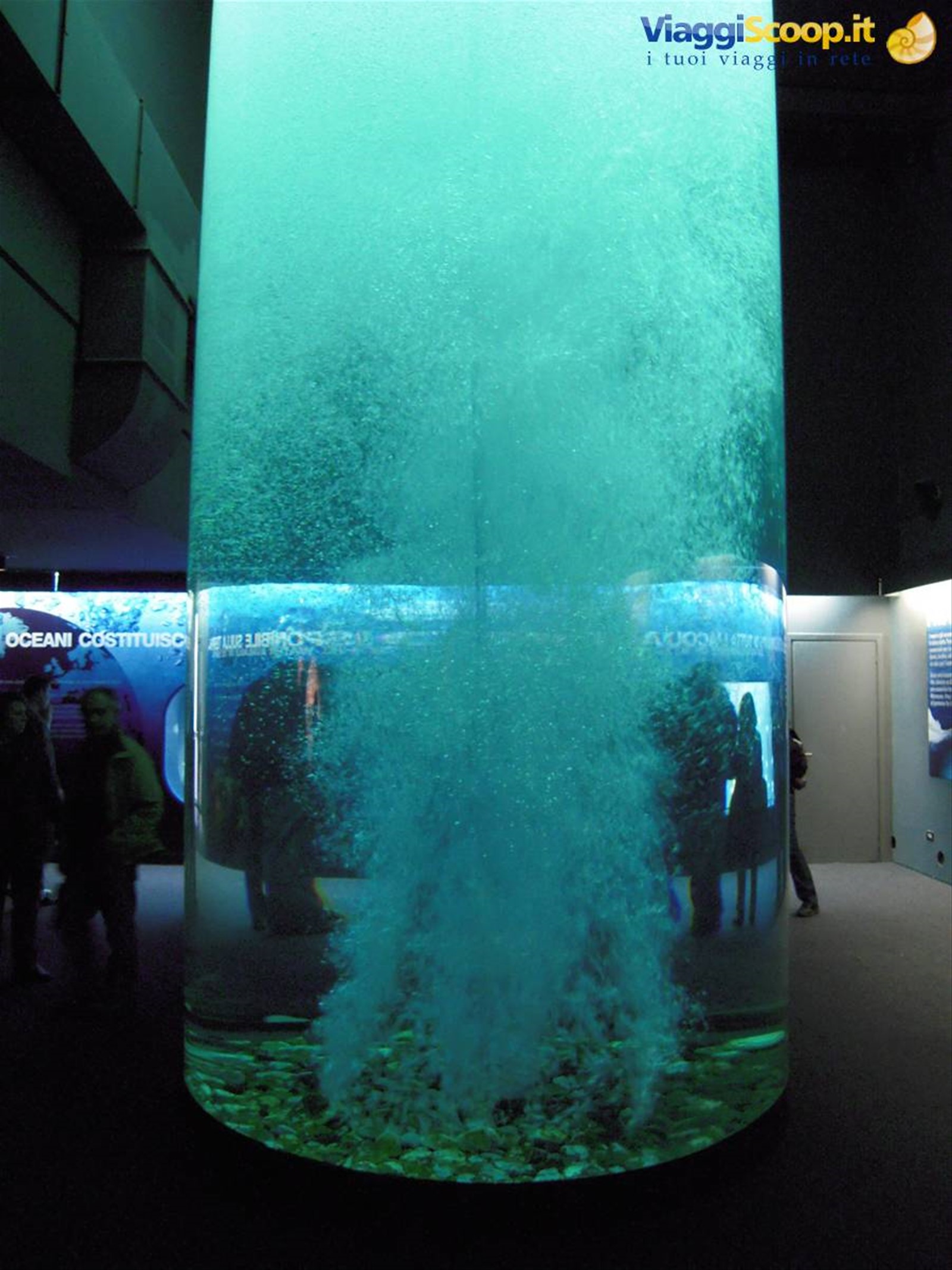 Interno dell'acquario