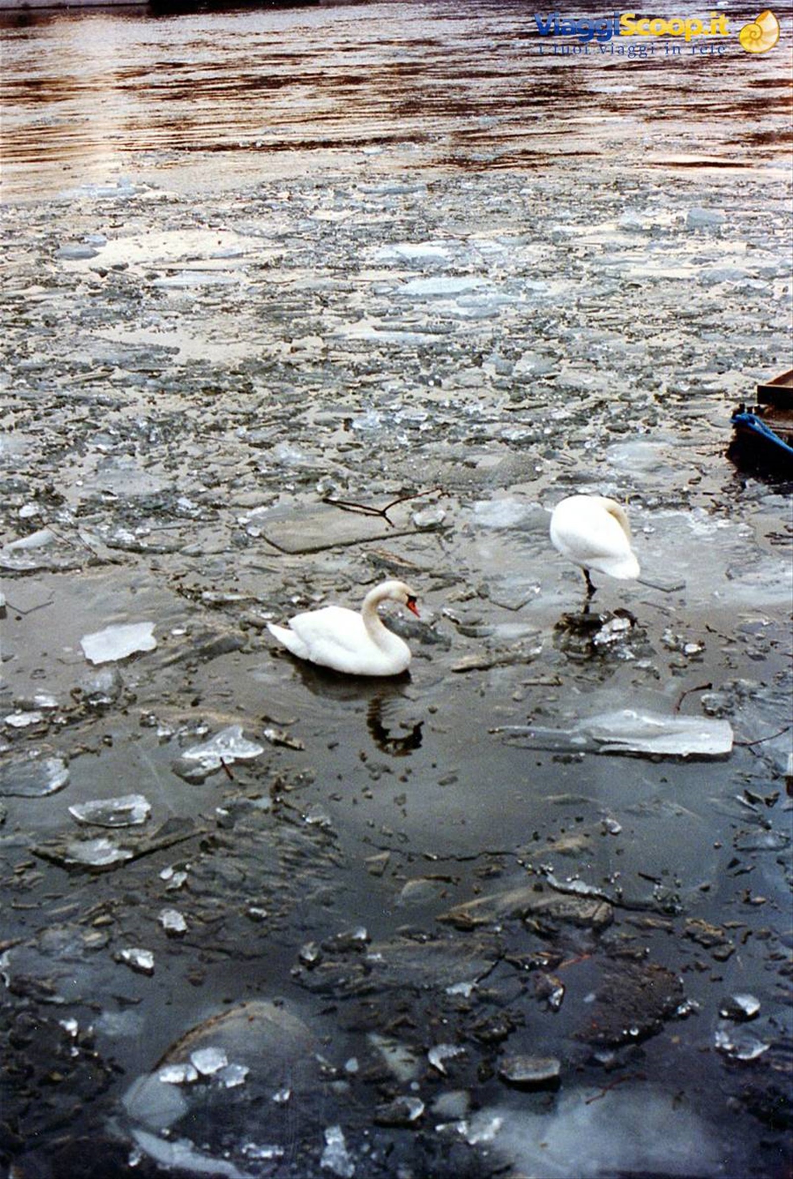Il freddo non risparmia nessuno