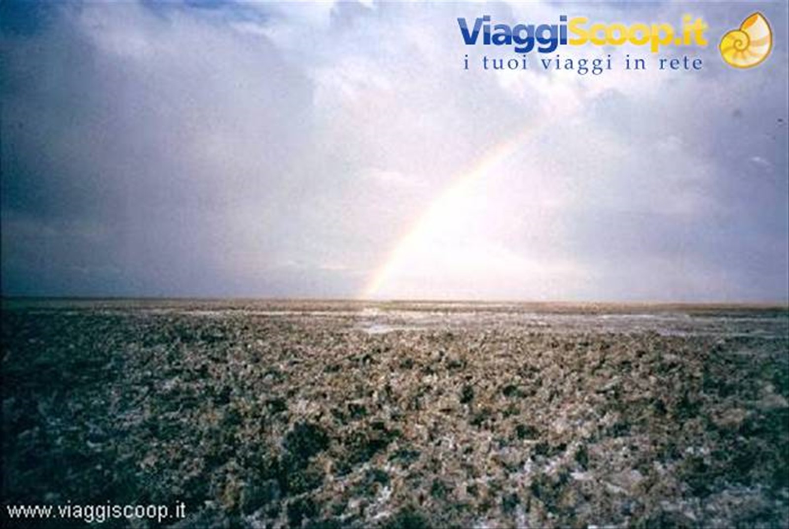 Deserto di Atacama