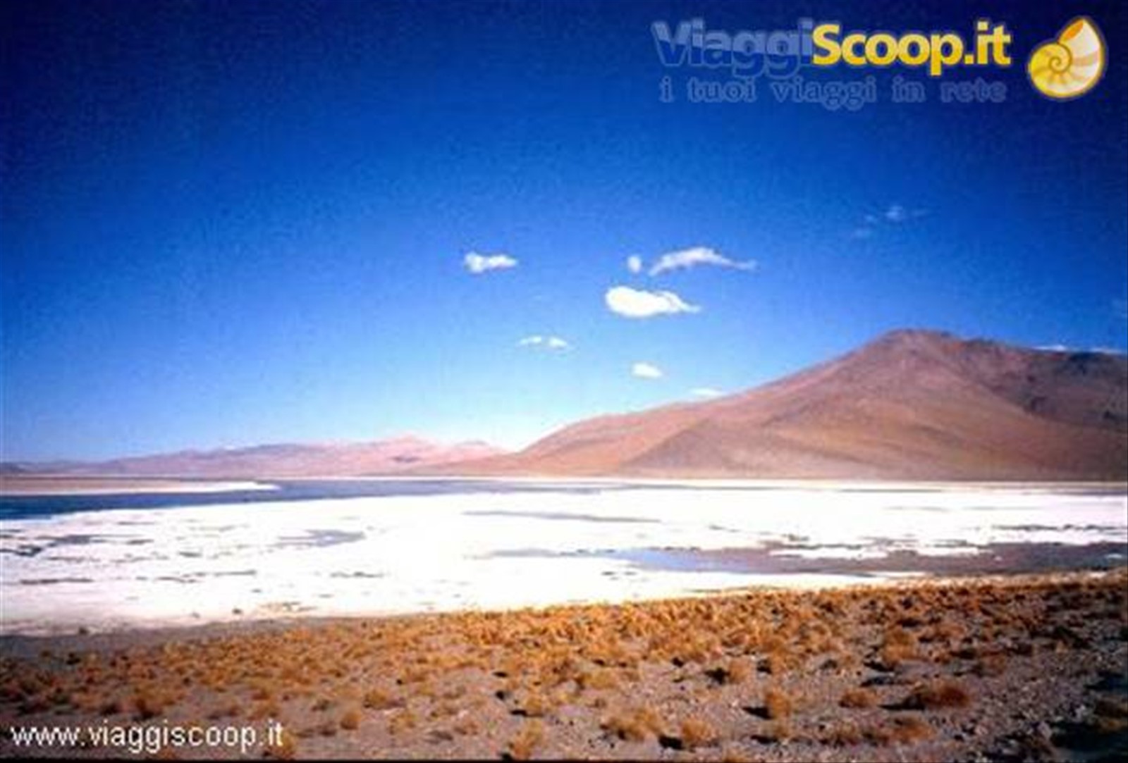 Laguna Polchis